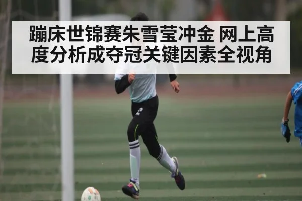 蹦床世锦赛朱雪莹冲金 网上高度分析成夺冠关键因素全视角