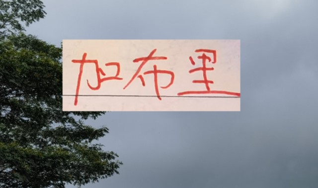 是走还是留？ 海港加布里埃尔国内跟国外说法不一样